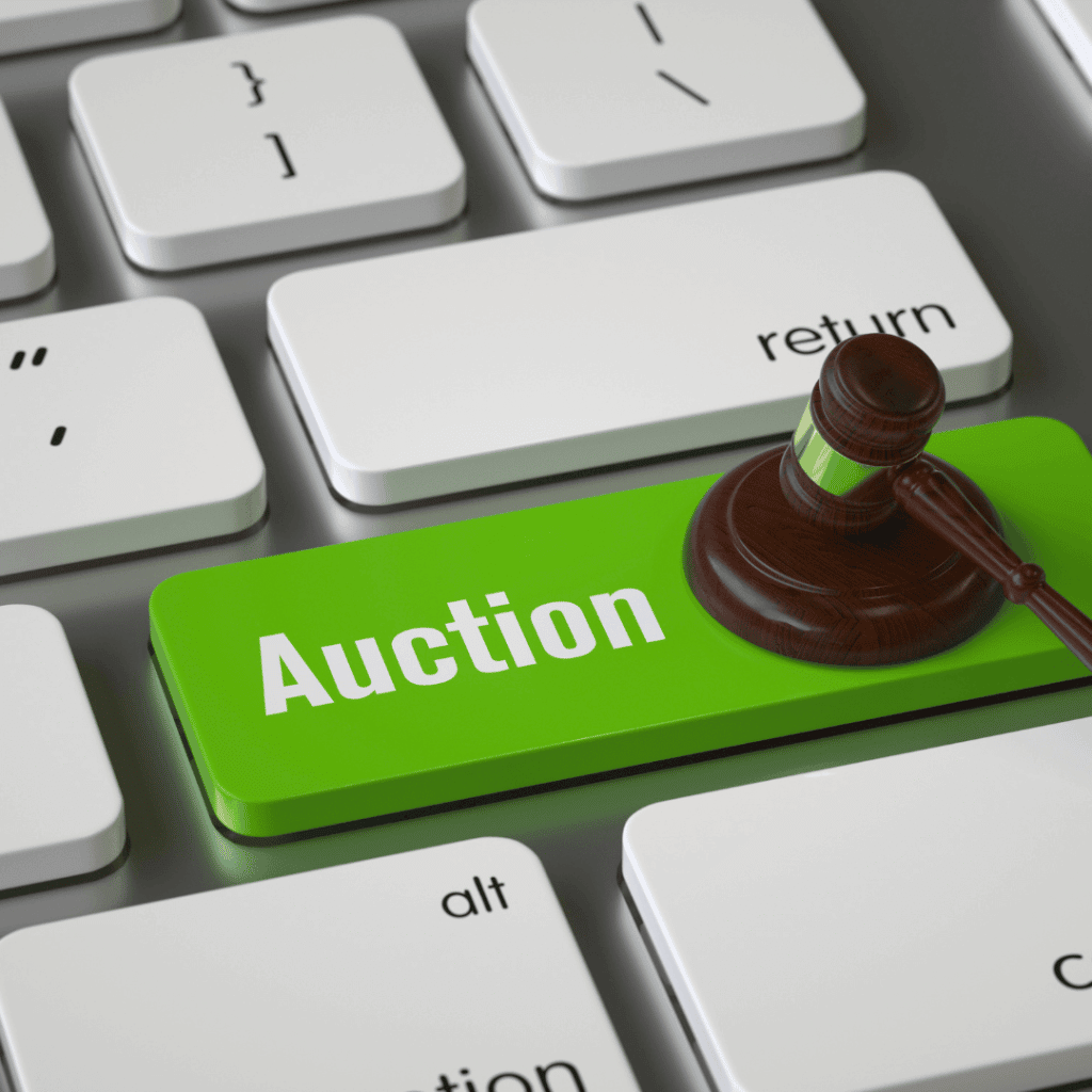Auction Assistance